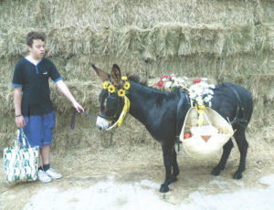 Earth Nurse Press Donkey's fundraising for charities